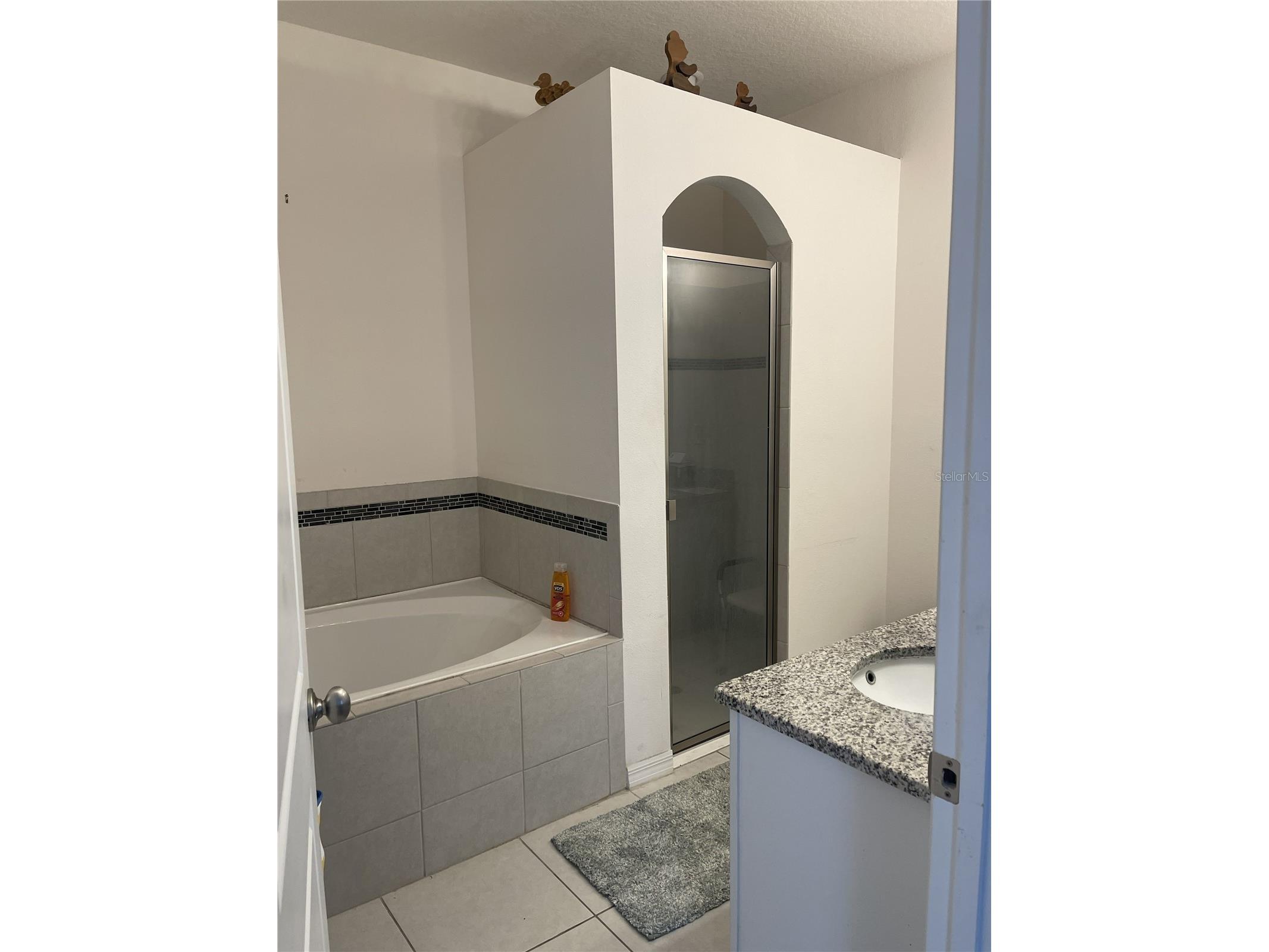 12433 Ballentrae Forest Drive Riverview FL 33579 TB8528547 image9