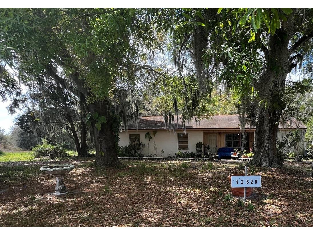 12434 Cody Drive Wimauma FL 33598 T3509244 image1
