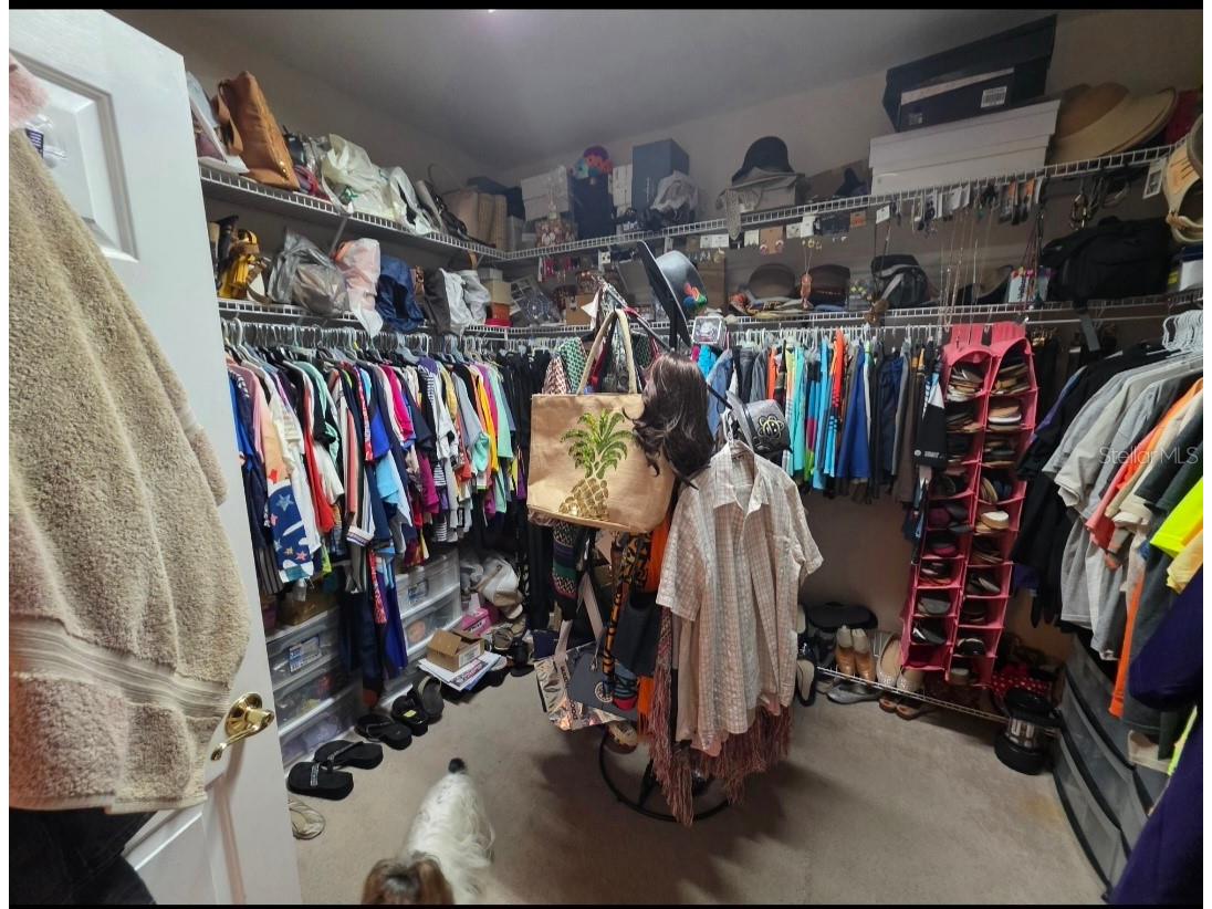 12435 Adventure Drive Riverview FL 33579 TB8517156 image14