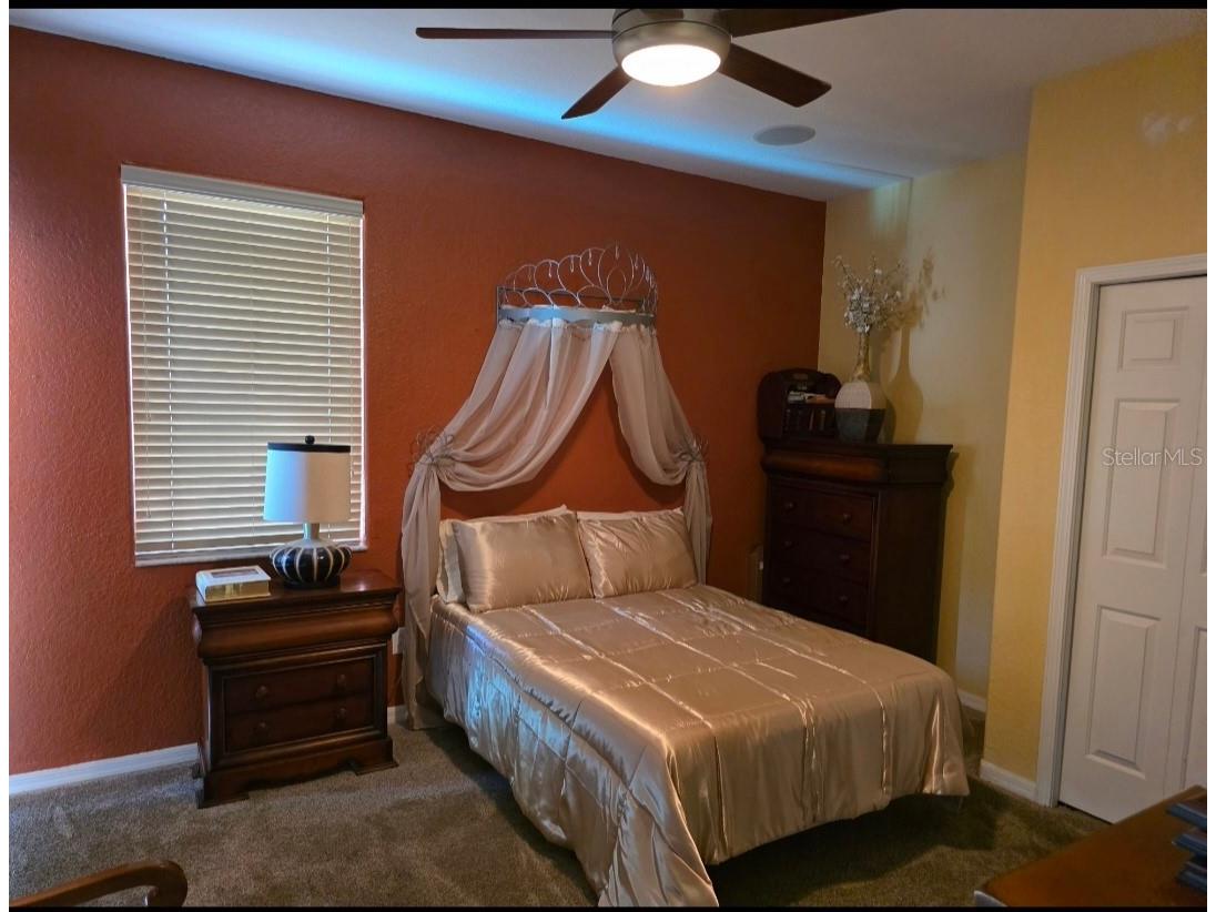 12435 Adventure Drive Riverview FL 33579 TB8517156 image19