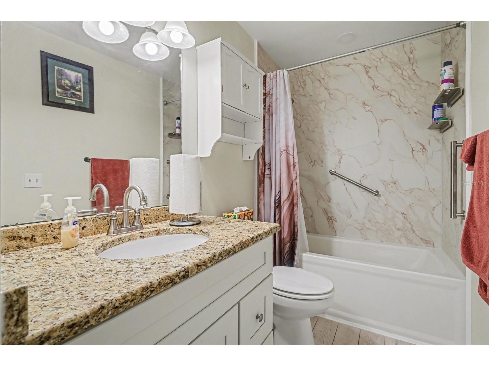 12435 Orangewood Circle Tavares FL 32778 O6386771 image14