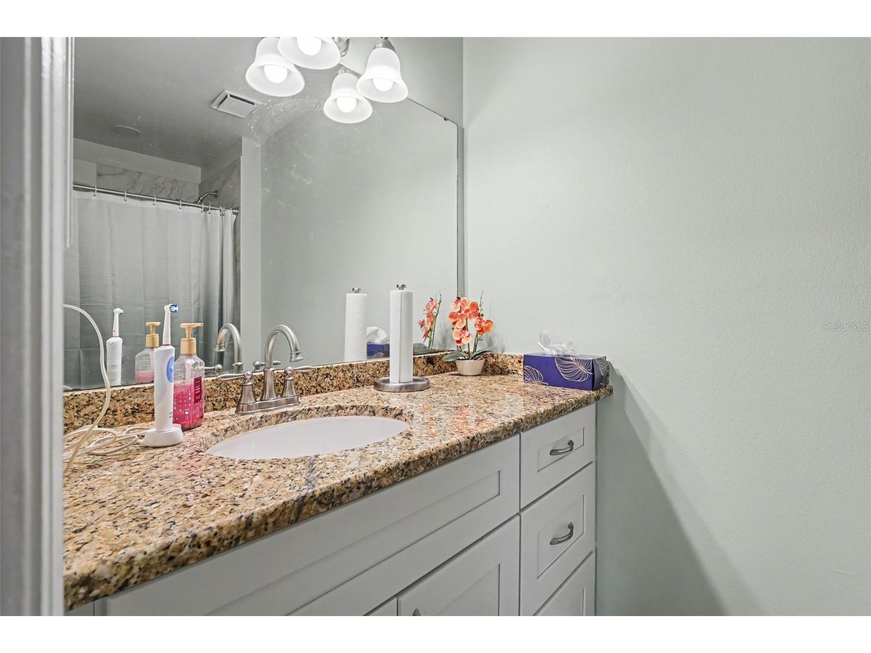 12435 Orangewood Circle Tavares FL 32778 O6386771 image21