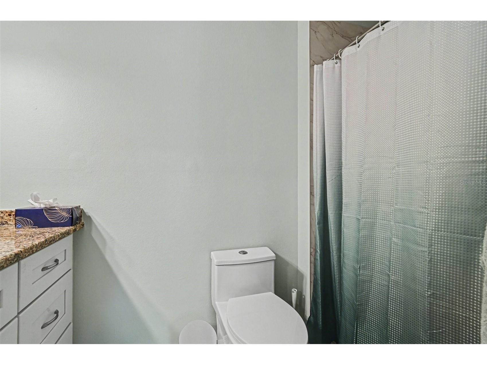 12435 Orangewood Circle Tavares FL 32778 O6386771 image22
