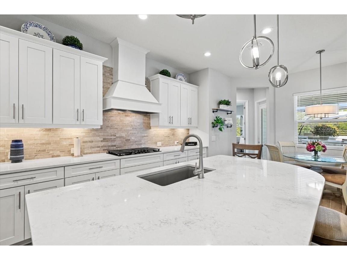 12436 Destin Loop Venice FL 34293 N6141069 image18