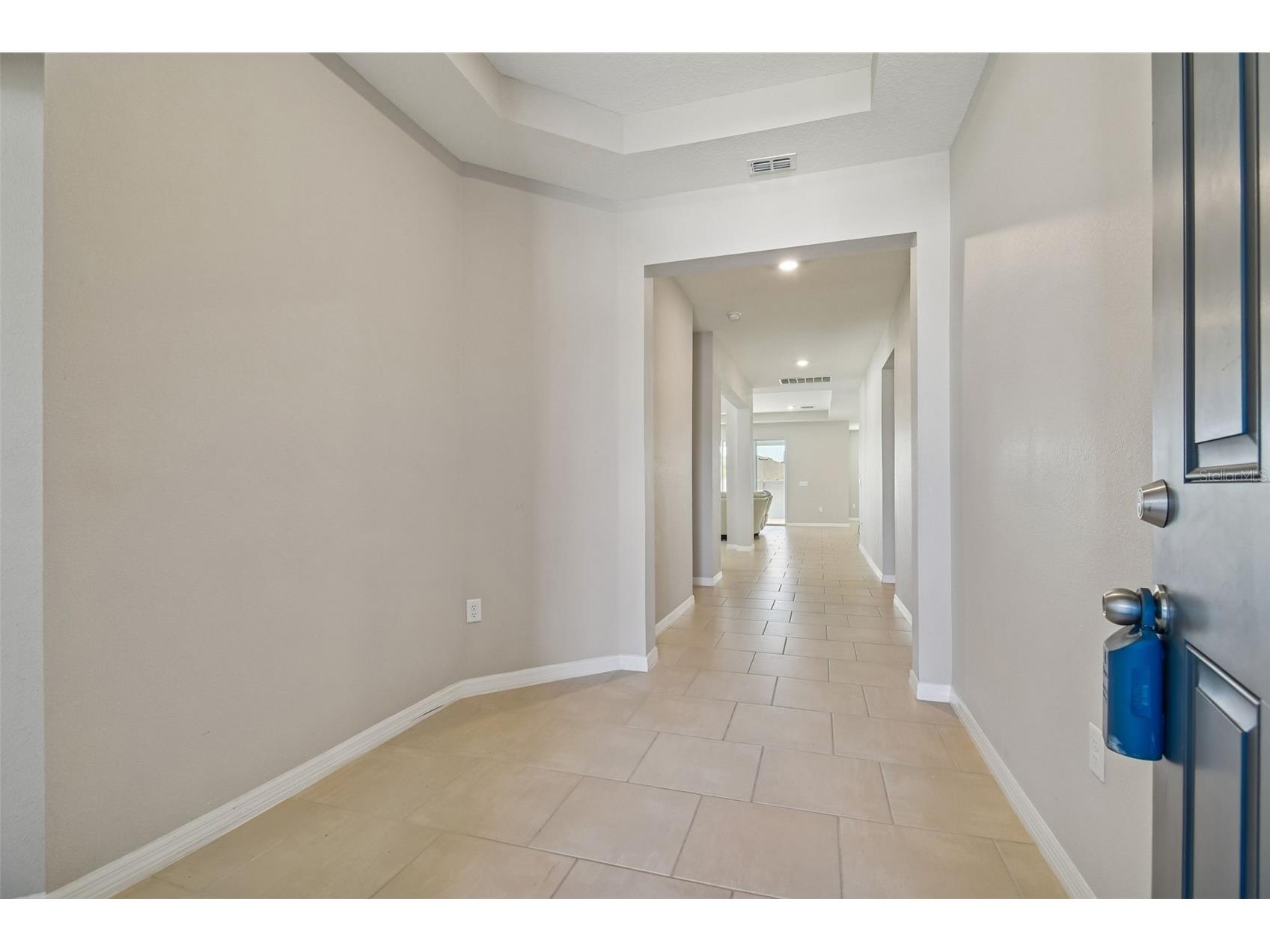 12436 Shining Willow Street Riverview FL 33579 TB8466878 image4