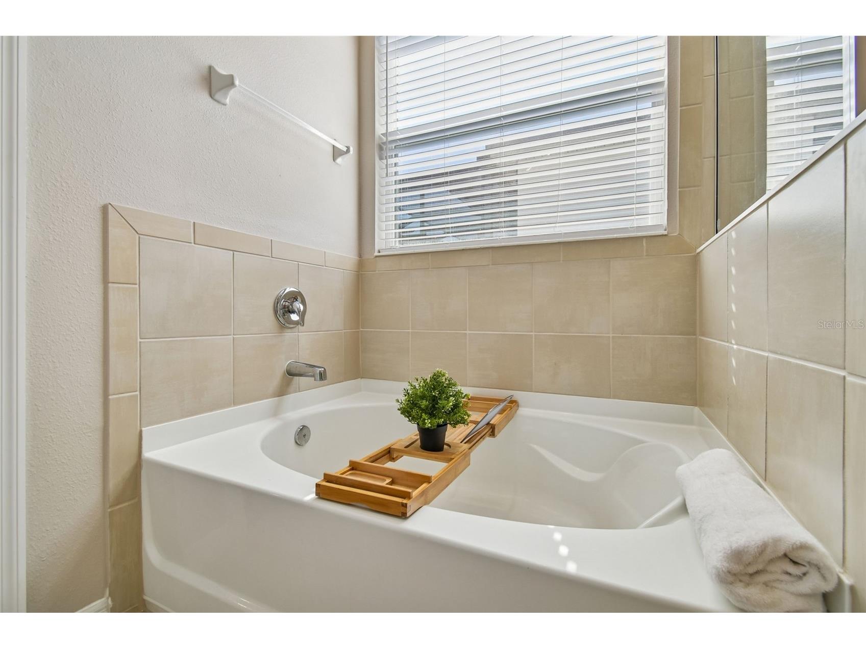 12436 Shining Willow Street Riverview FL 33579 TB8466878 image41