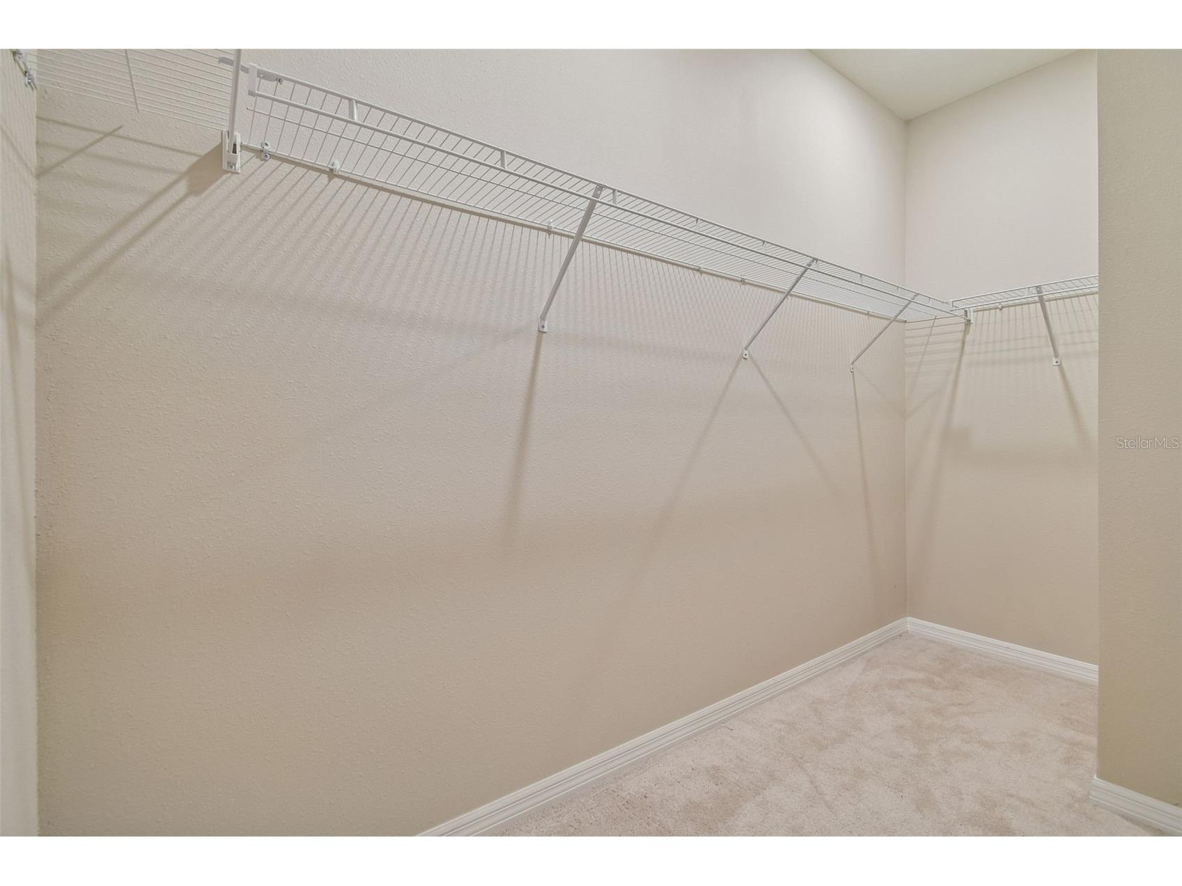 12436 Shining Willow Street Riverview FL 33579 TB8466878 image45