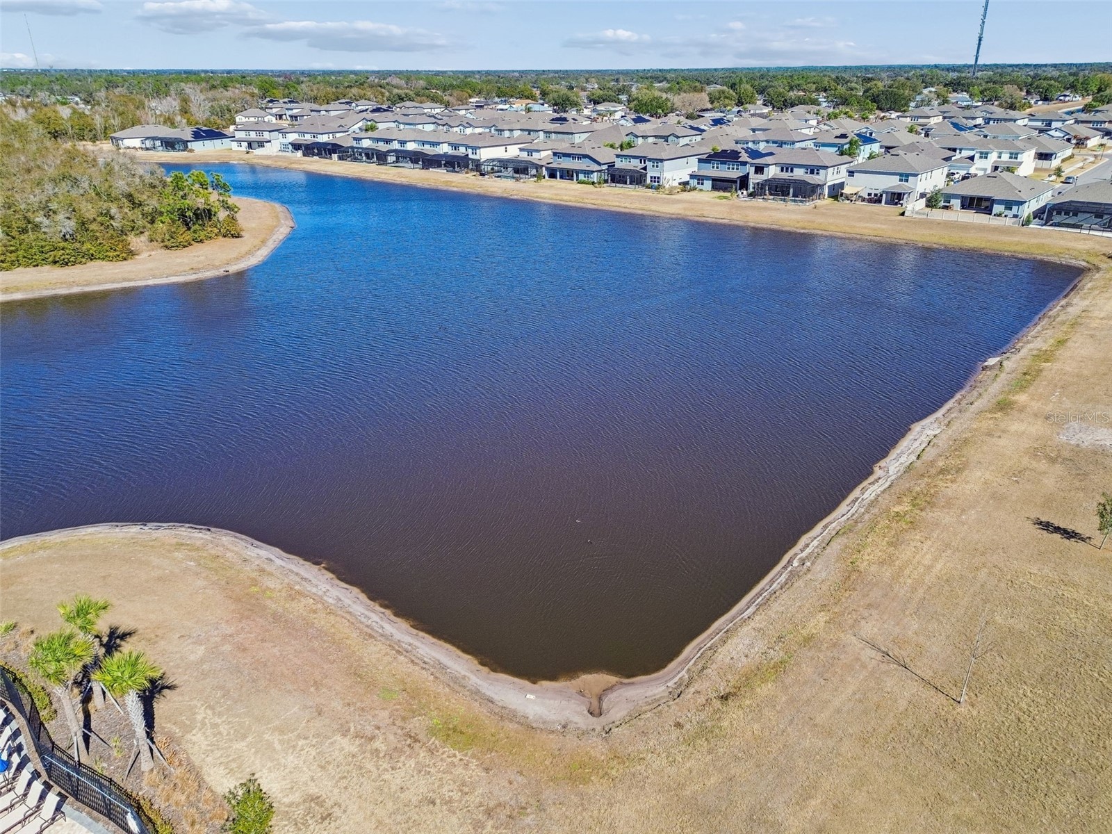 12436 Shining Willow Street Riverview FL 33579 TB8466878 image58