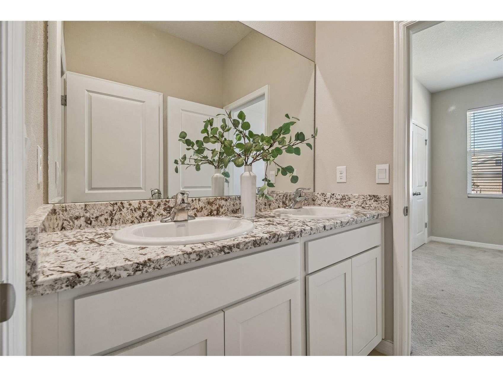 12436 Shining Willow Street Riverview FL 33579 TB8466878 image8