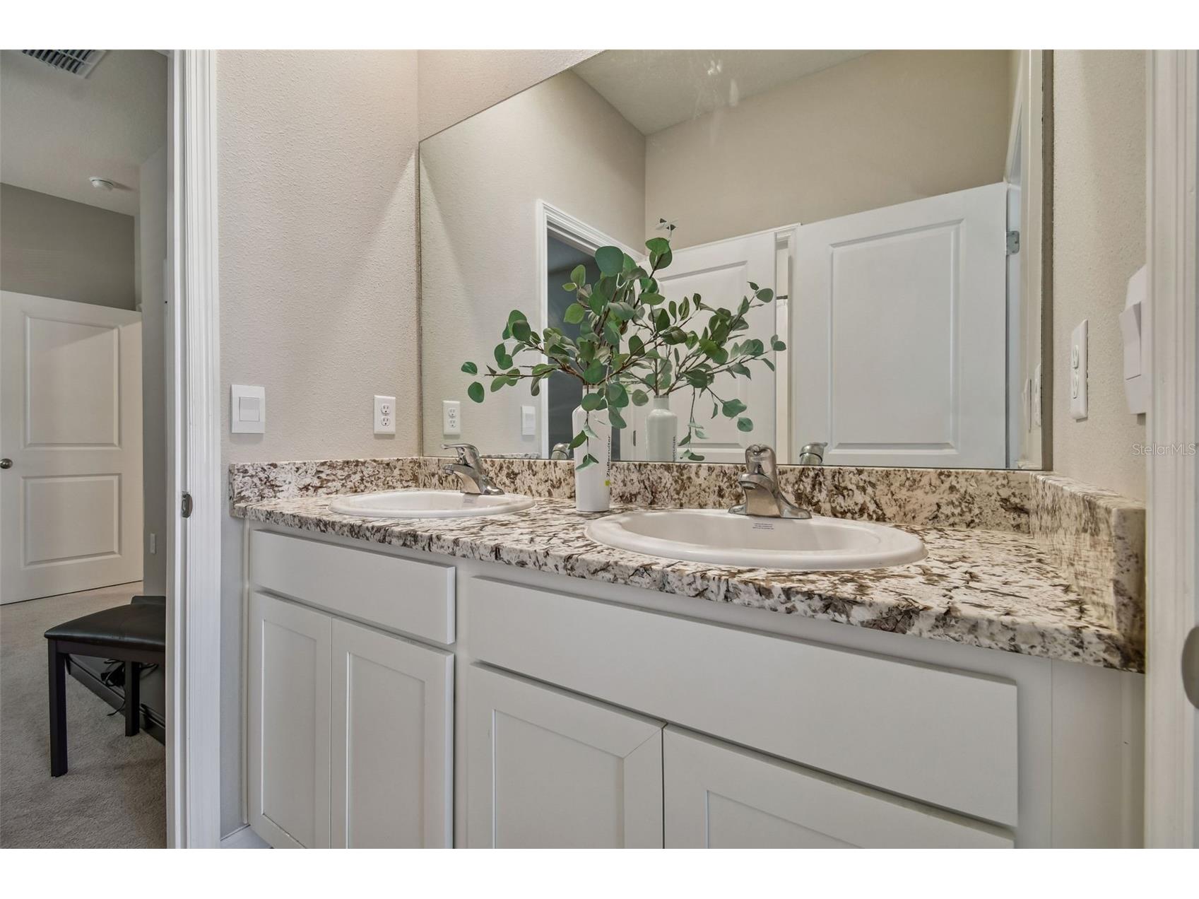 12436 Shining Willow Street Riverview FL 33579 TB8466878 image9