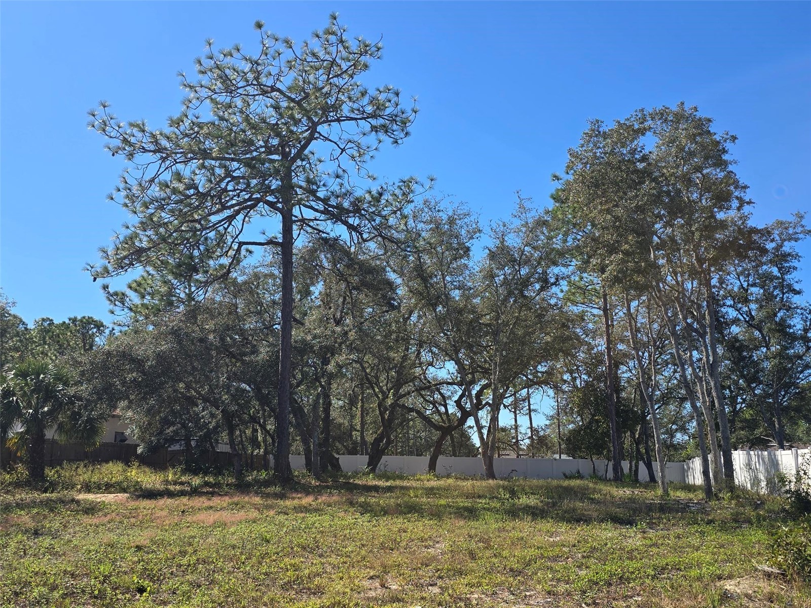 12437 Harris Hawk Road Brooksville FL 34614 W7880394 image1