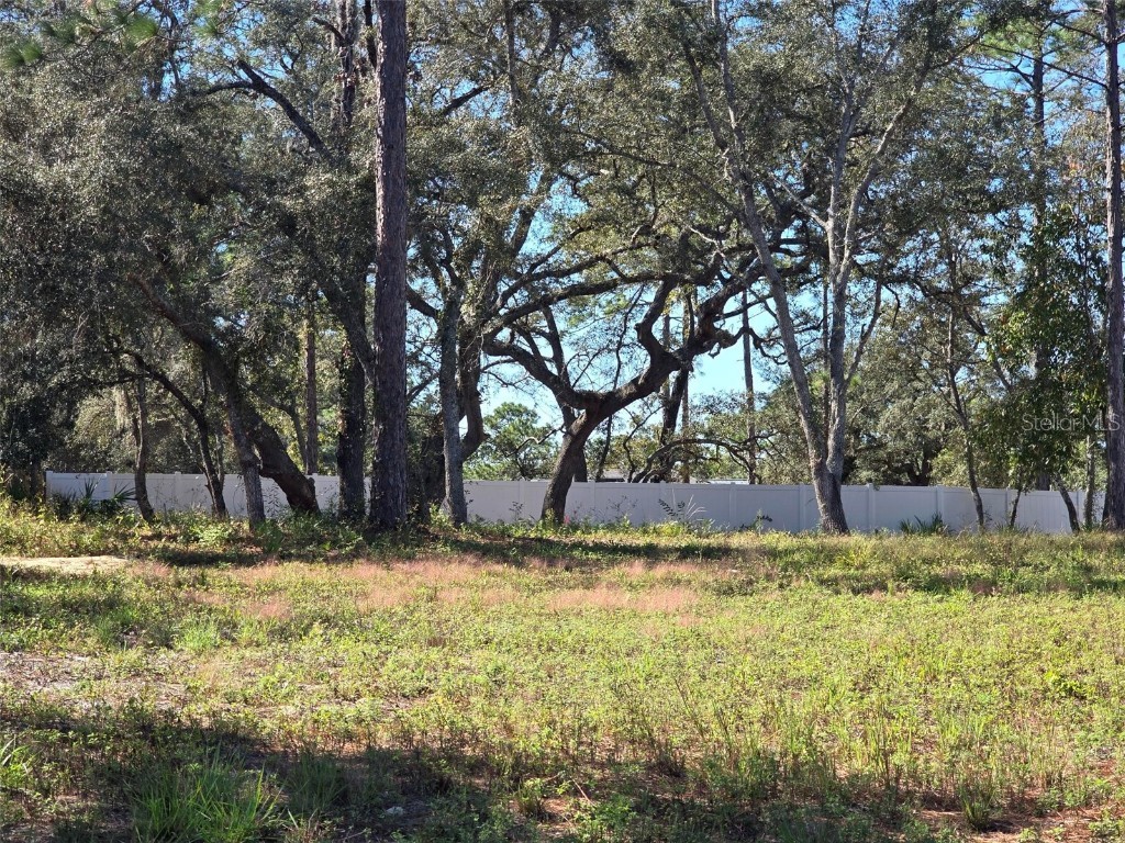 12437 Harris Hawk Road Weeki Wachee FL 34614 W7880394 image4