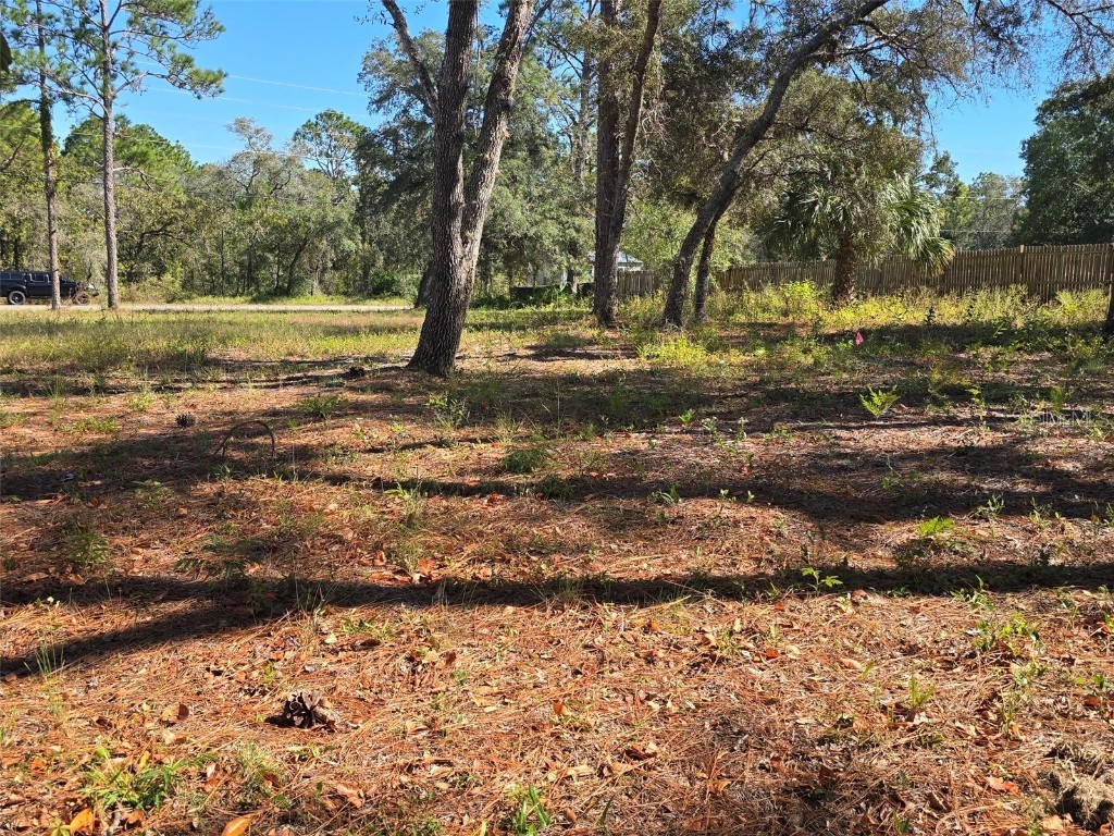 12437 Harris Hawk Road Weeki Wachee FL 34614 W7880394 image5