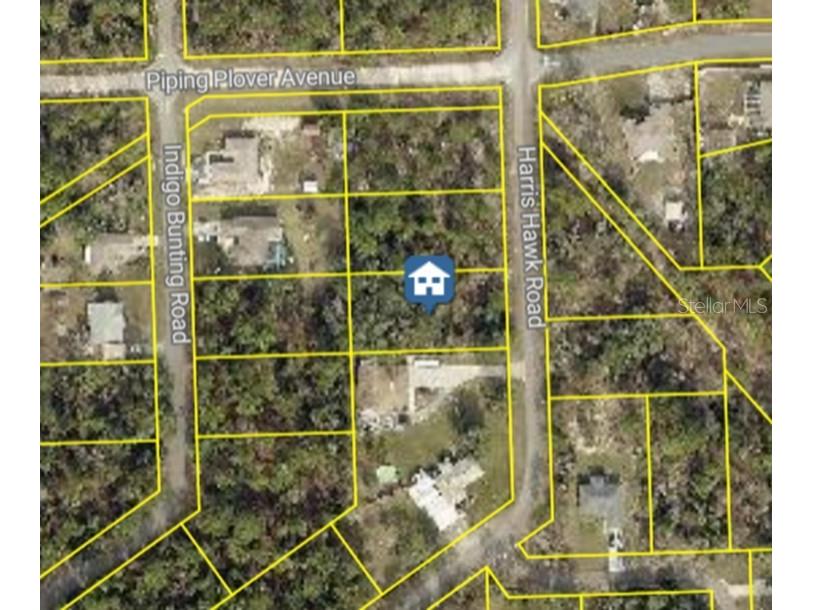 12437 Harris Hawk Road Weeki Wachee FL 34614 W7880394 image9