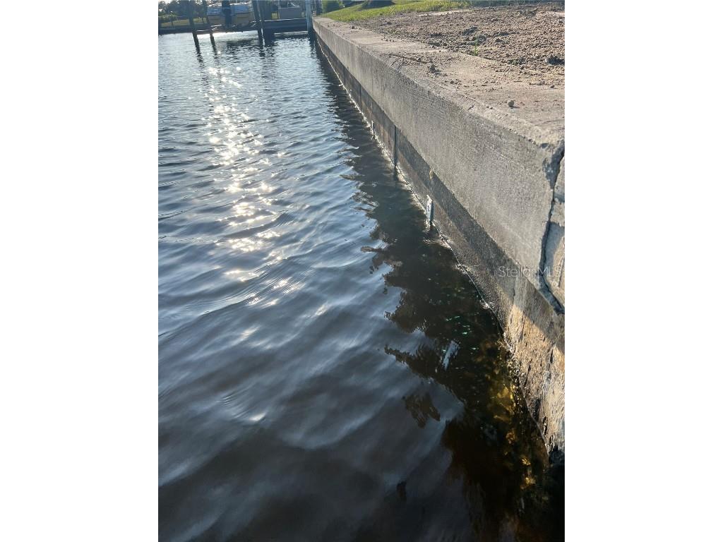 12437 Ran Terrace Port Charlotte FL 33981 - MYAKKA RIVER L4936054 image14