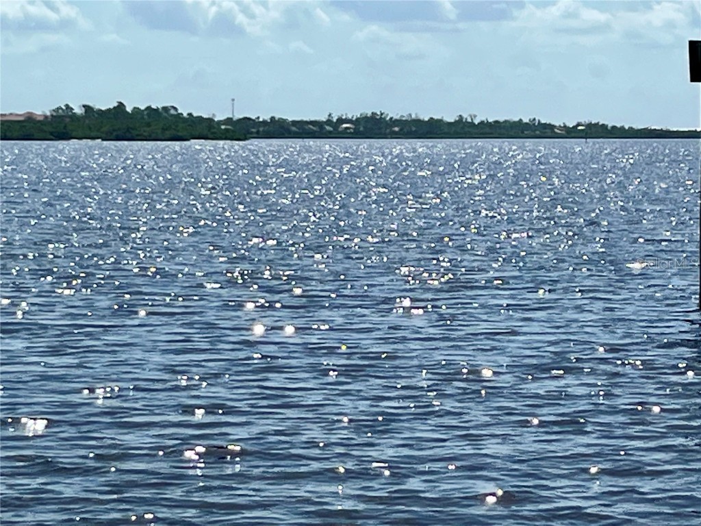 12437 Ran Terrace Port Charlotte FL 33981 - MYAKKA RIVER L4936054 image19