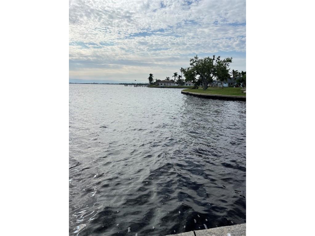 12437 Ran Terrace Port Charlotte FL 33981 - MYAKKA RIVER L4936054 image5