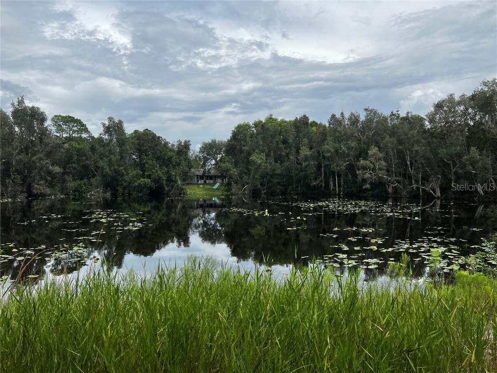 12438 AND 12432 Fiesta Circle Punta Gorda FL 33955 A4547456 image1