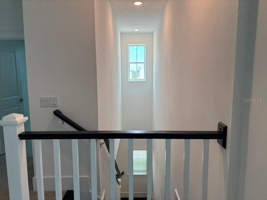 12438 Clear Sapphire Drive Winter Garden FL 34787 O6422720 image17