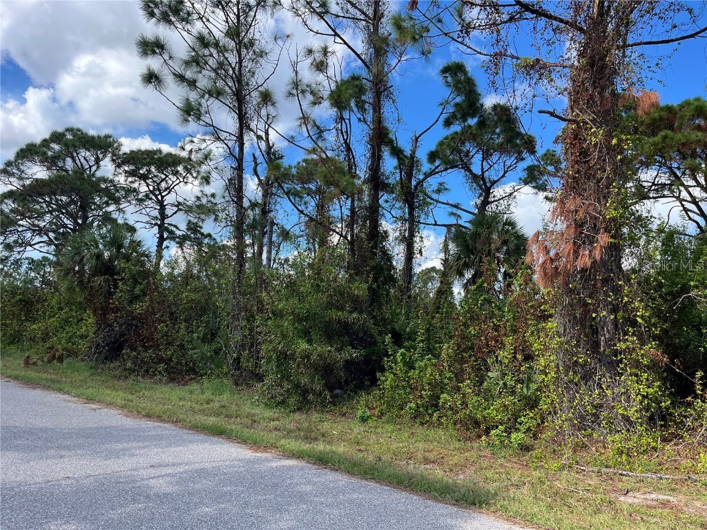 12438 Deepwoods Avenue Port Charlotte FL 33981 C7500283 image4