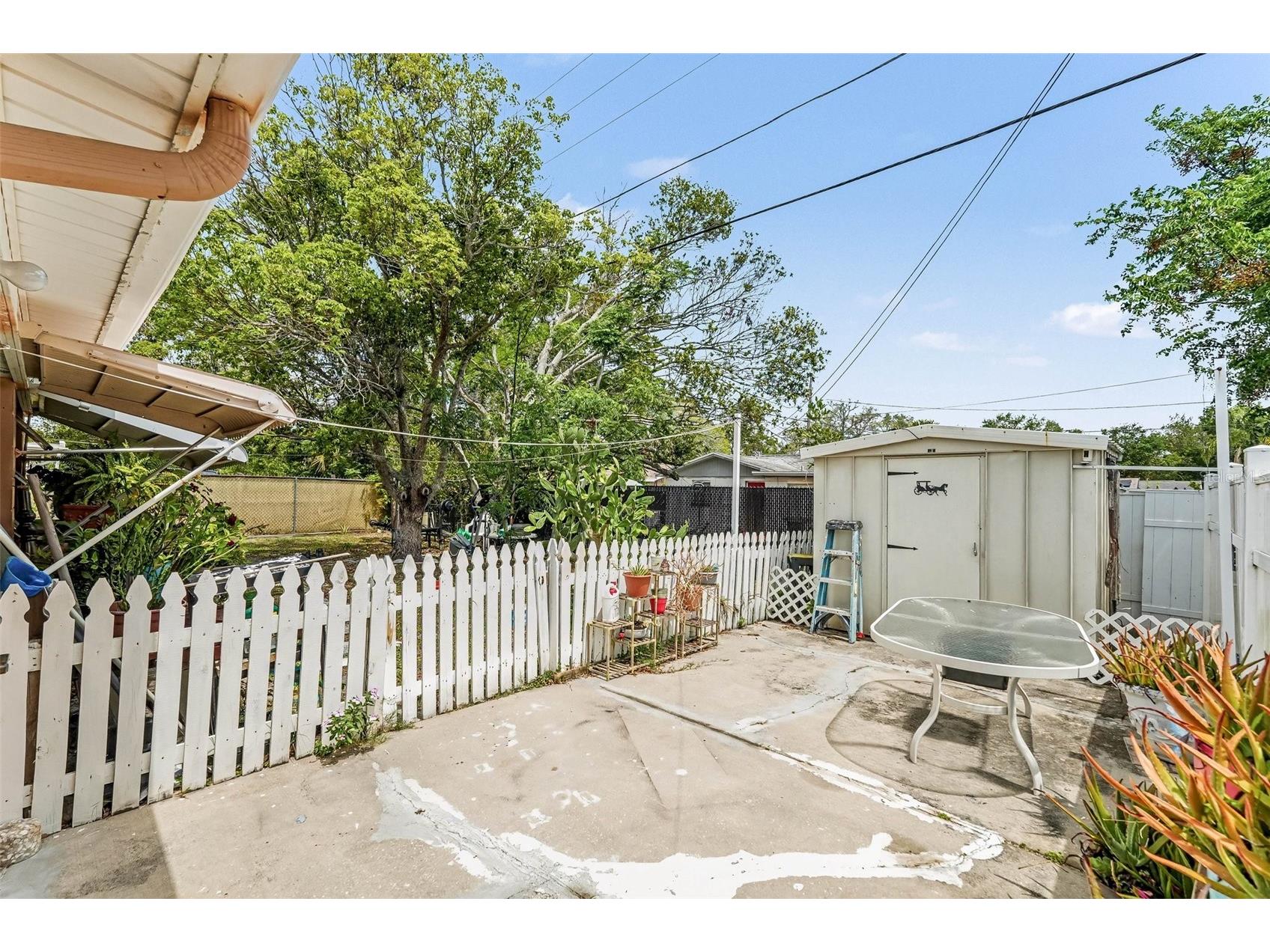 1244 Classic Drive Holiday FL 34691 TB8496555 image24
