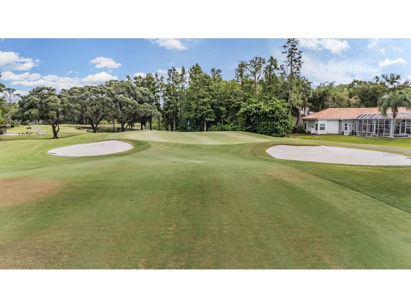 1244 Greybrooke Place Oldsmar FL 34677 TB8427929 image46