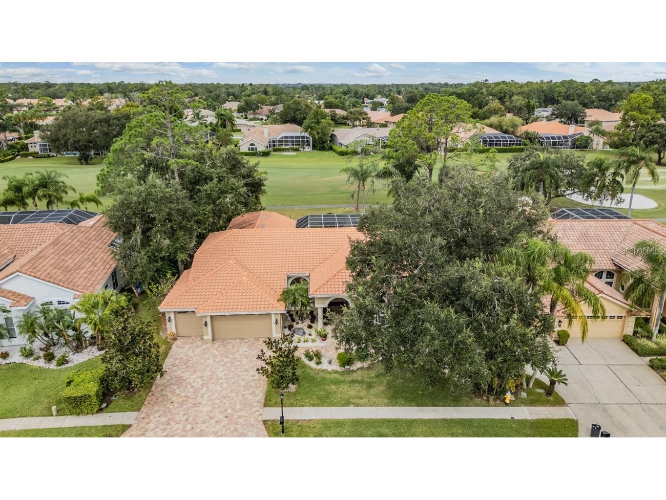 1244 Greybrooke Place Oldsmar FL 34677 TB8427929 image51