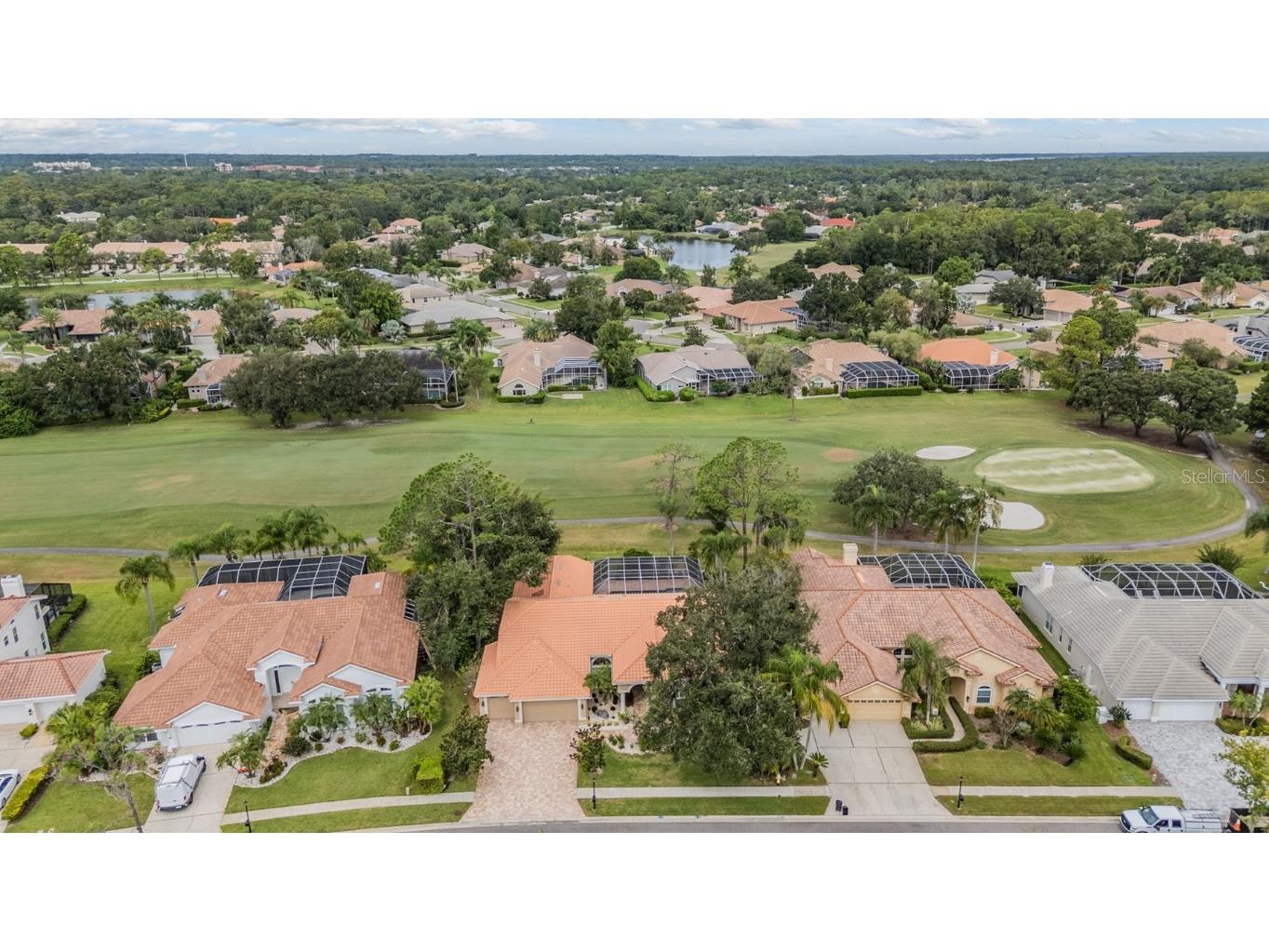 1244 Greybrooke Place Oldsmar FL 34677 TB8427929 image54