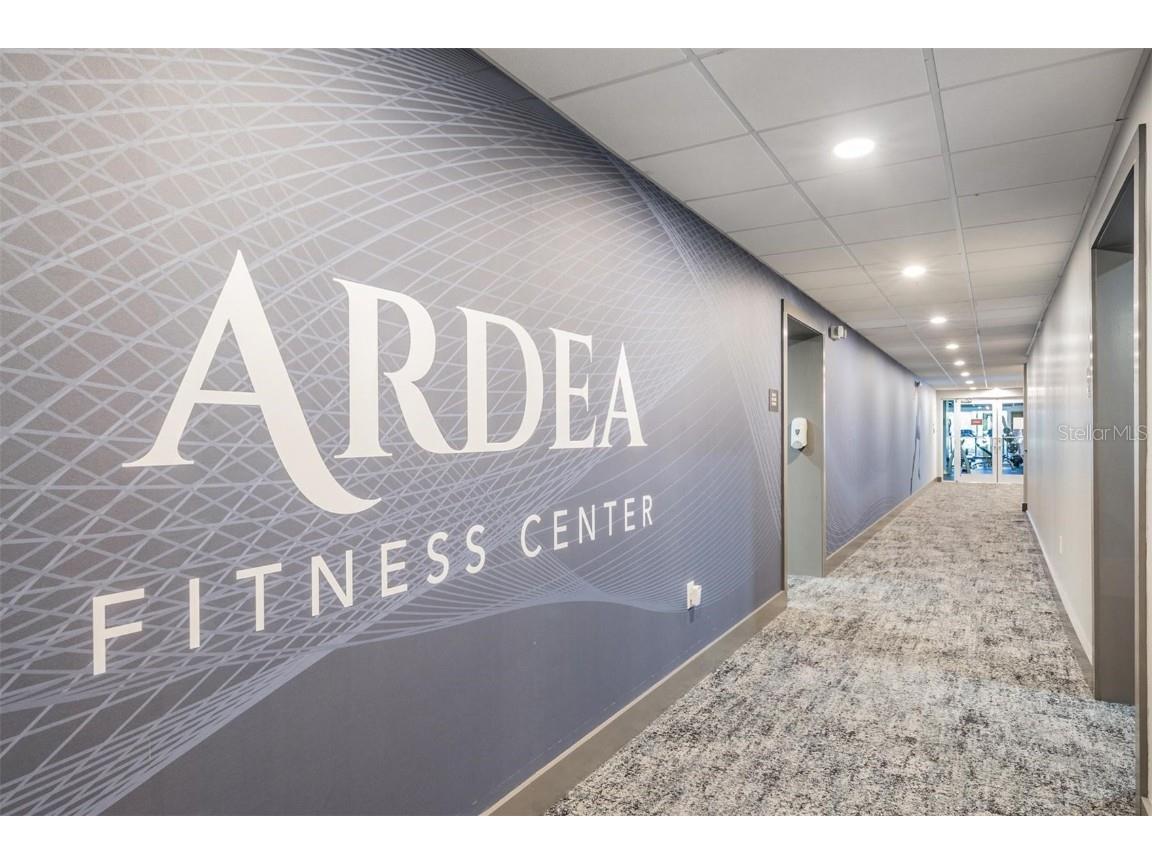 1244 Greybrooke Place Oldsmar FL 34677 TB8427929 image61