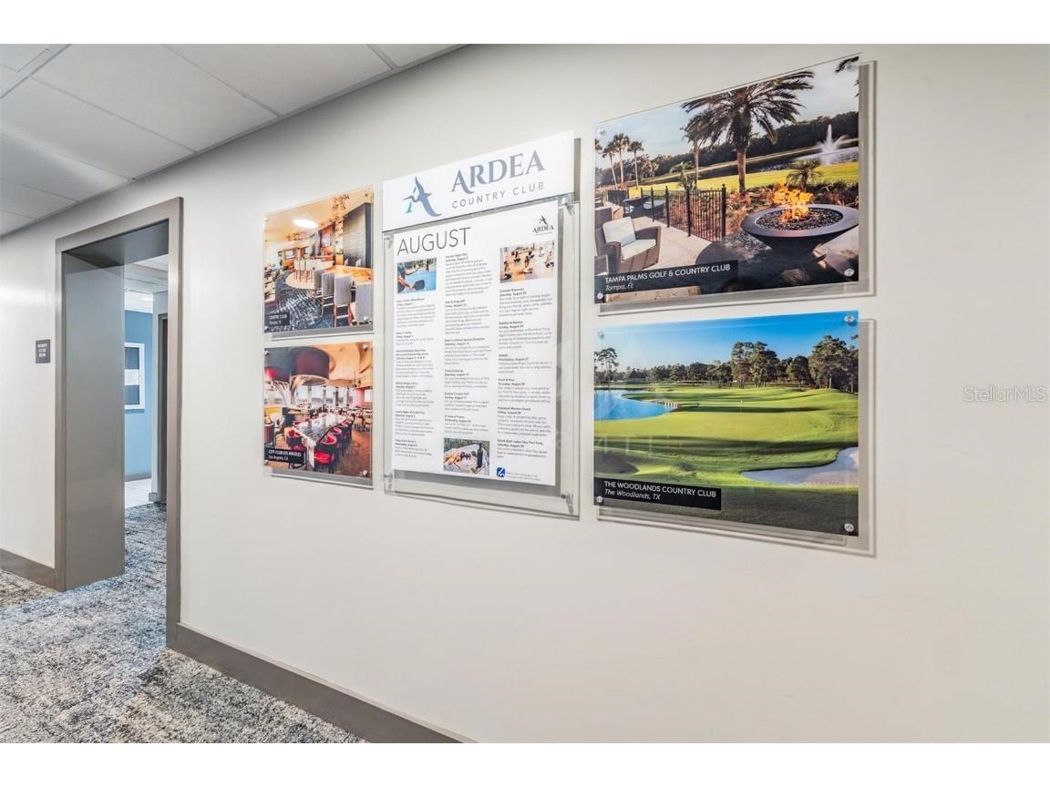 1244 Greybrooke Place Oldsmar FL 34677 TB8427929 image63