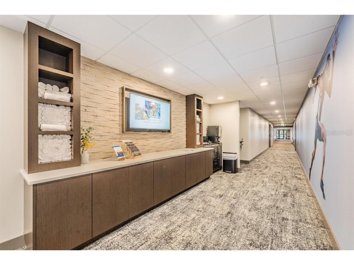 1244 Greybrooke Place Oldsmar FL 34677 TB8427929 image64