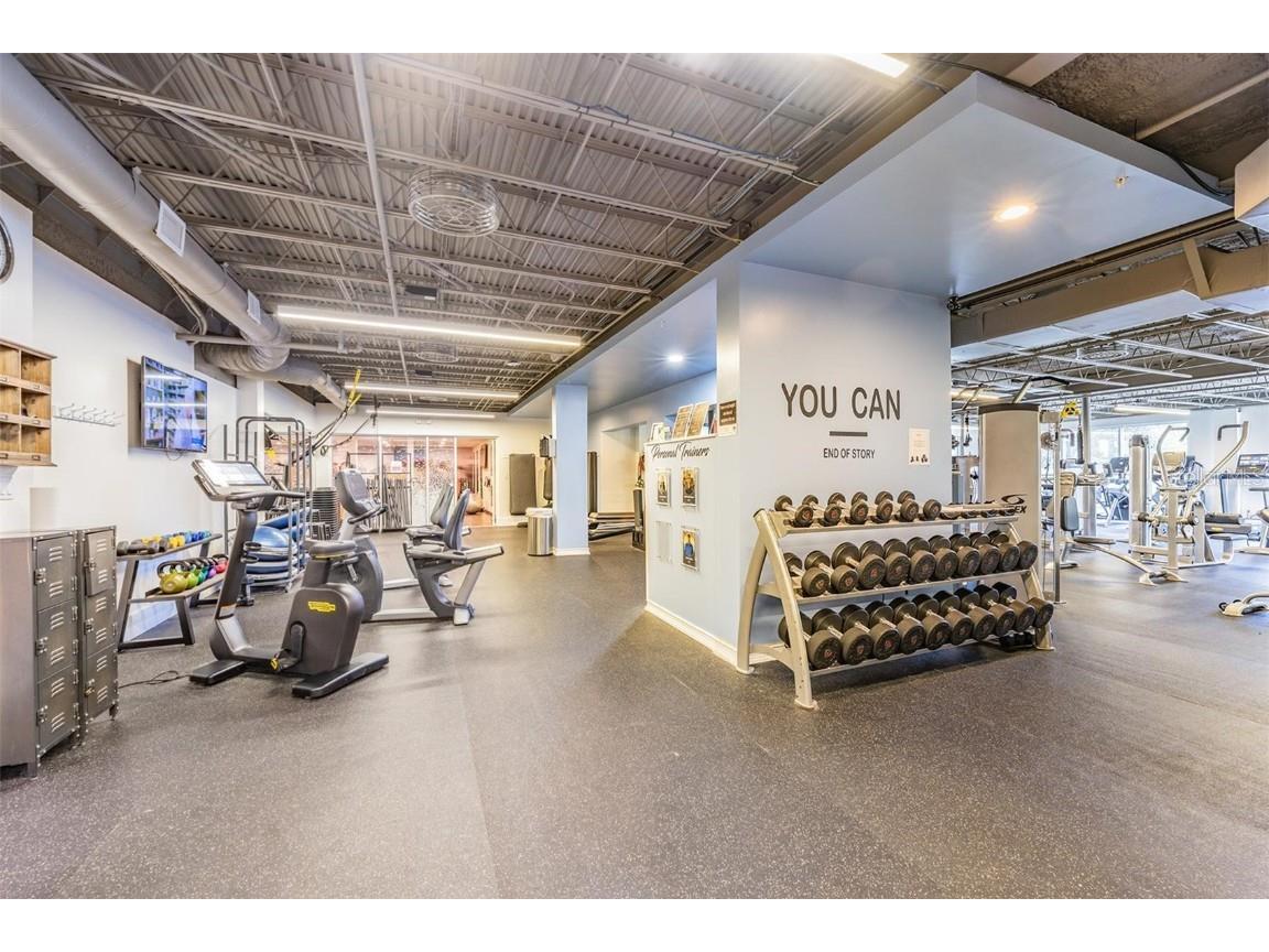 1244 Greybrooke Place Oldsmar FL 34677 TB8427929 image65