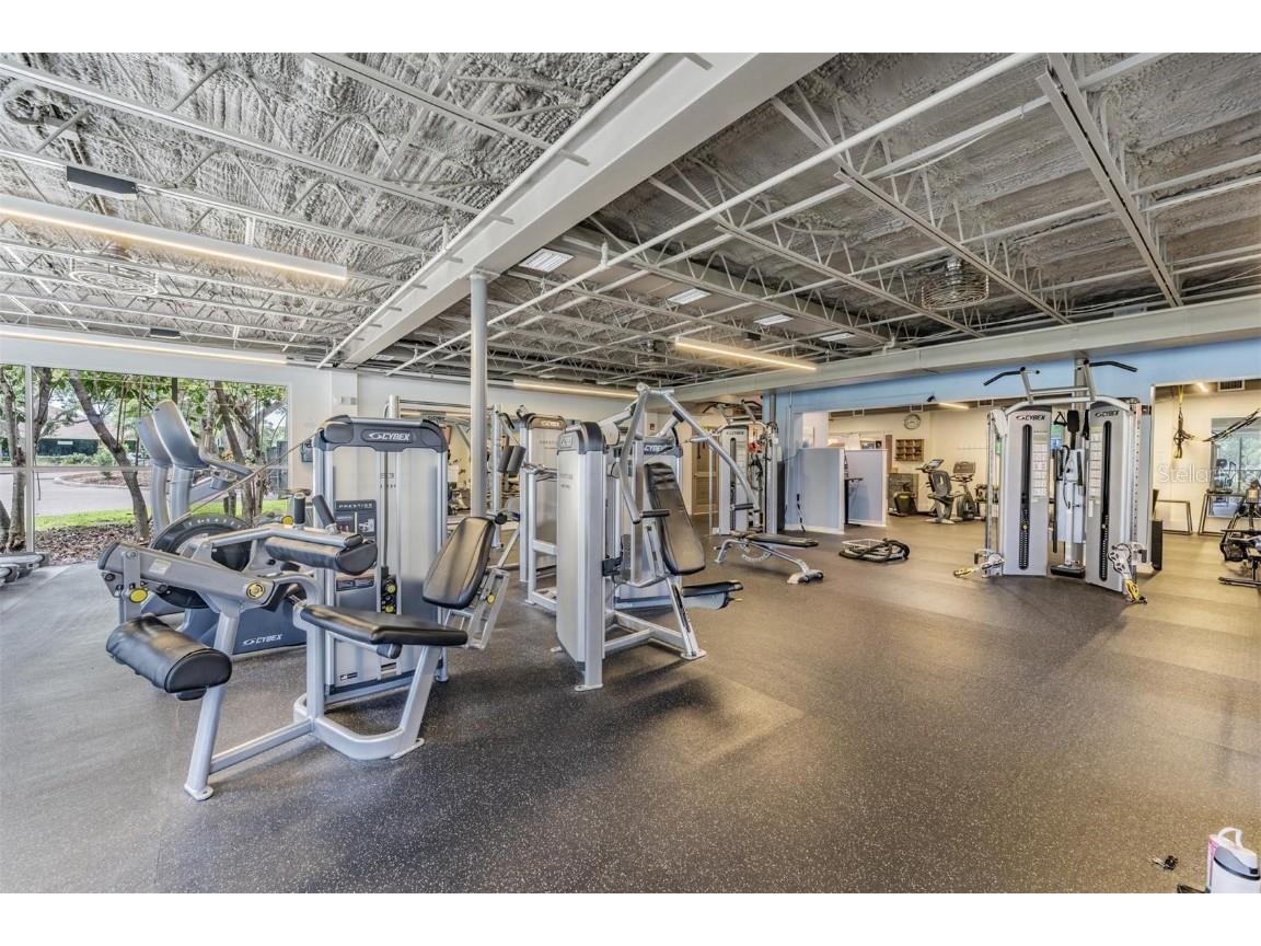 1244 Greybrooke Place Oldsmar FL 34677 TB8427929 image67