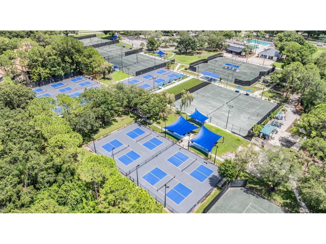 1244 Greybrooke Place Oldsmar FL 34677 TB8427929 image72