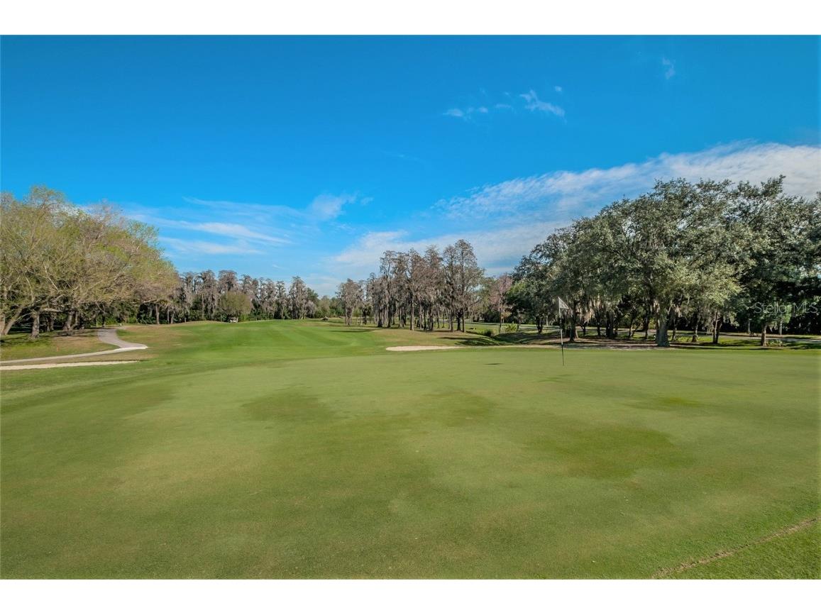 1244 Greybrooke Place Oldsmar FL 34677 TB8427929 image73