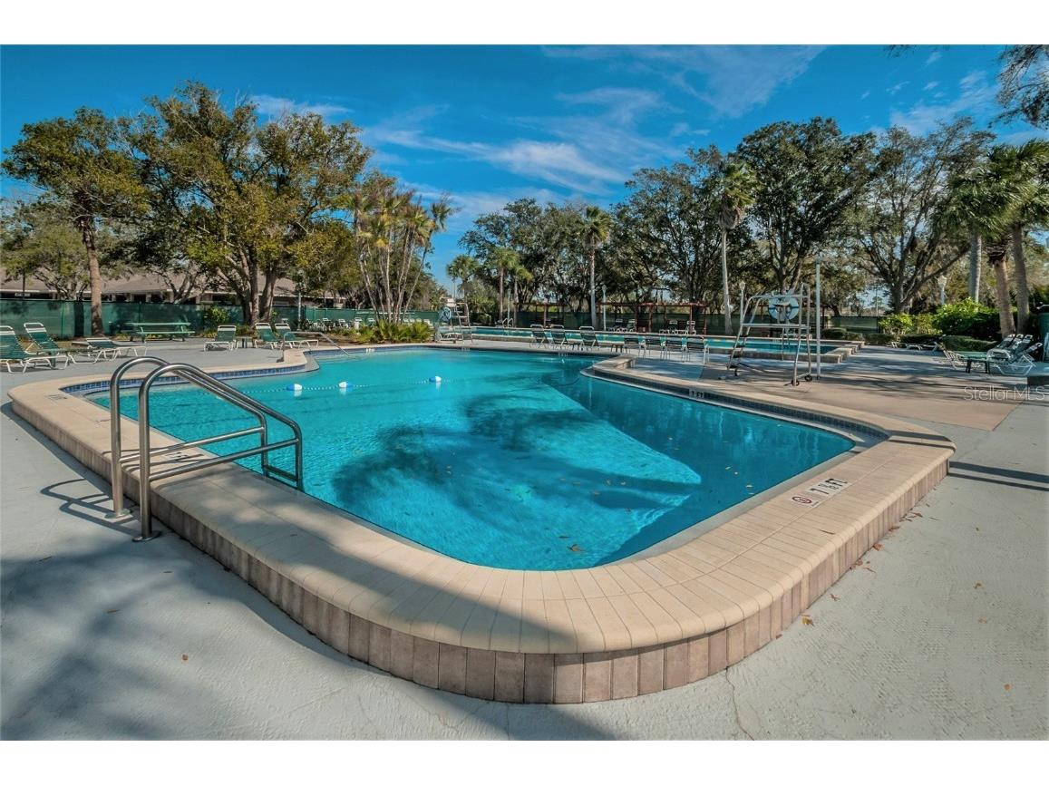 1244 Greybrooke Place Oldsmar FL 34677 TB8427929 image75