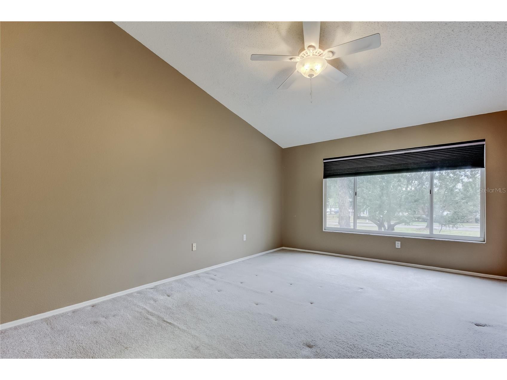 12440 Berkeley Square Drive Tampa FL 33626 TB8482465 image24