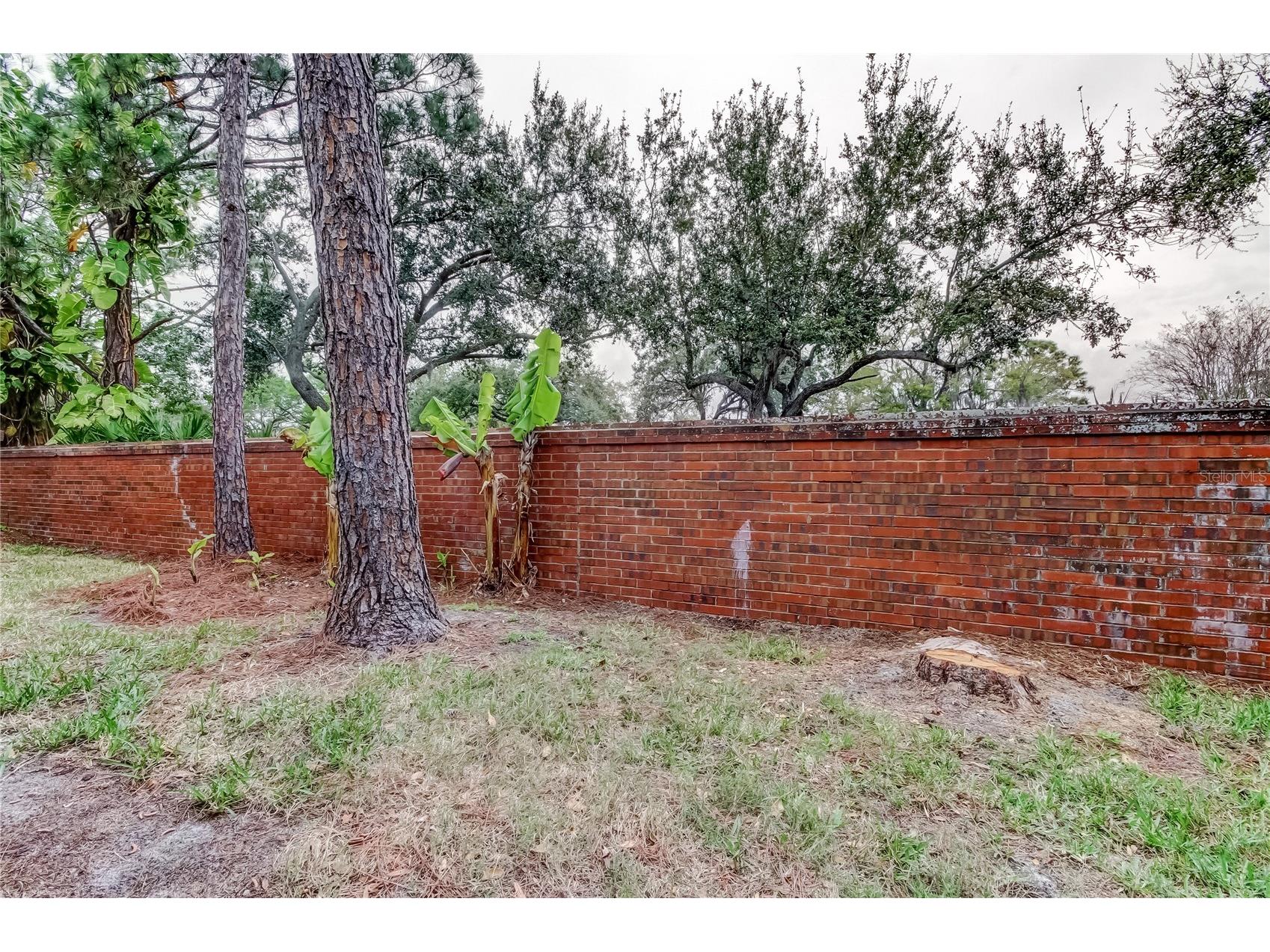 12440 Berkeley Square Drive Tampa FL 33626 TB8482465 image33