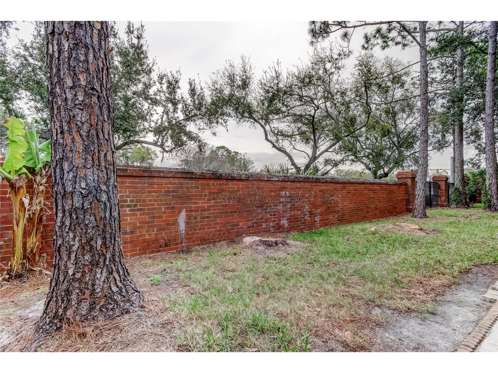 12440 Berkeley Square Drive Tampa FL 33626 TB8482465 image34