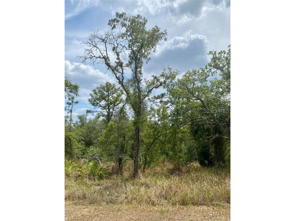 12440 Meinert Avenue Brooksville FL 34613 W7875146 image2