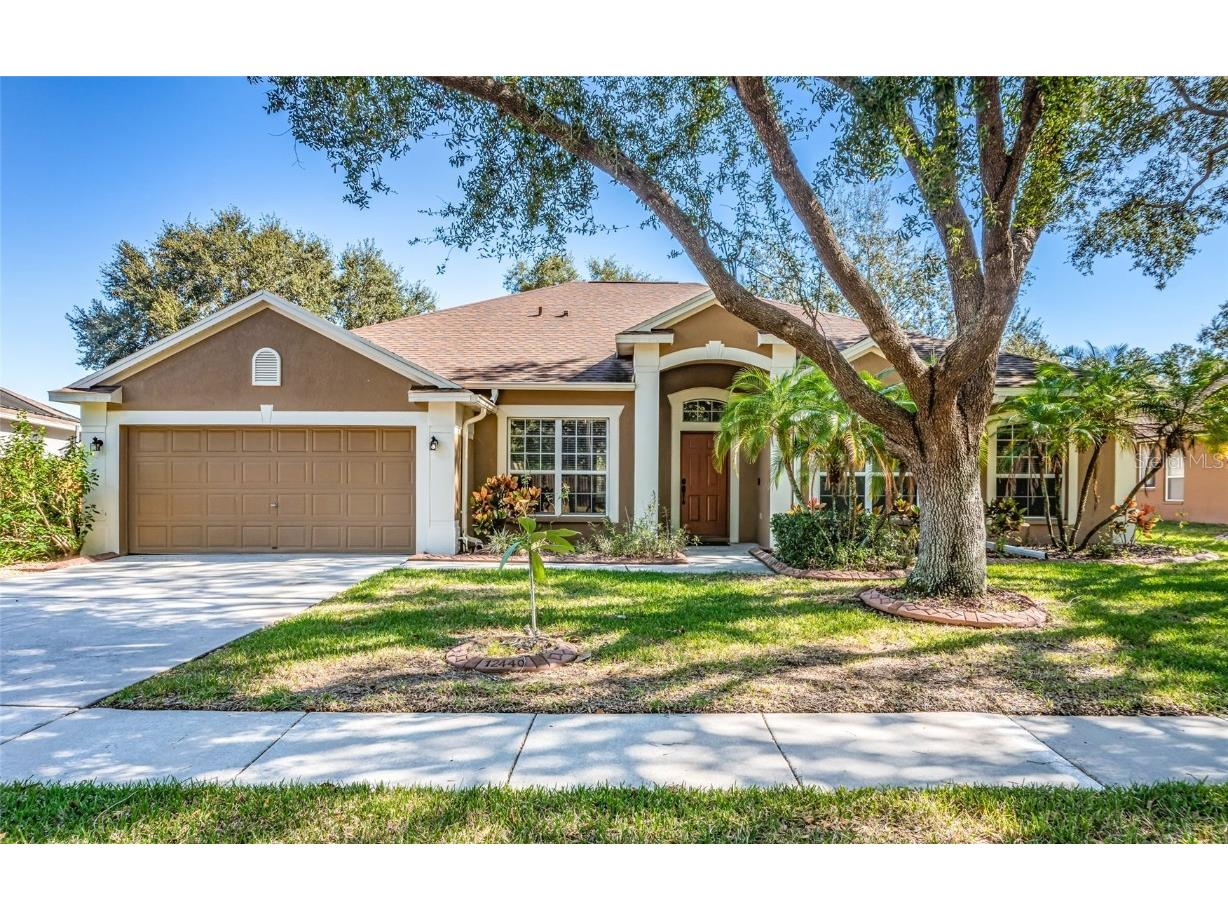 12440 Windmill Cove Drive Riverview FL 33569 T3484360 image1