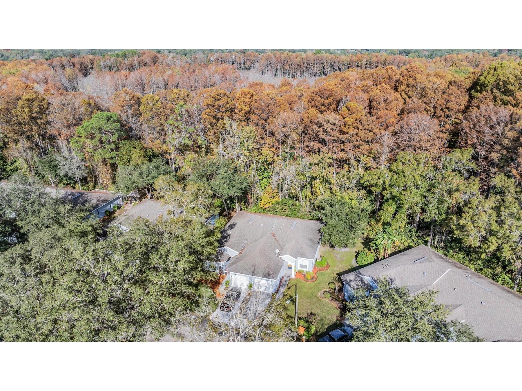 12441 Cavalier Court Hudson FL 34669 TB8518538 image22