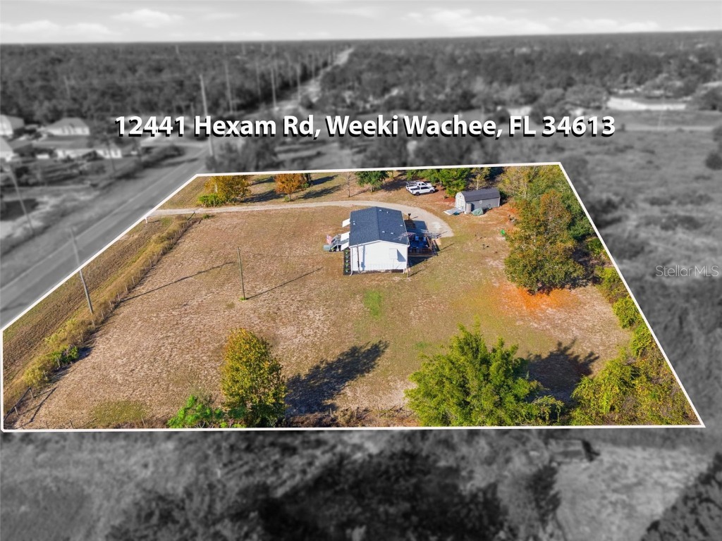 12441 Hexam Road Weeki Wachee FL 34613 TB8447712 image38