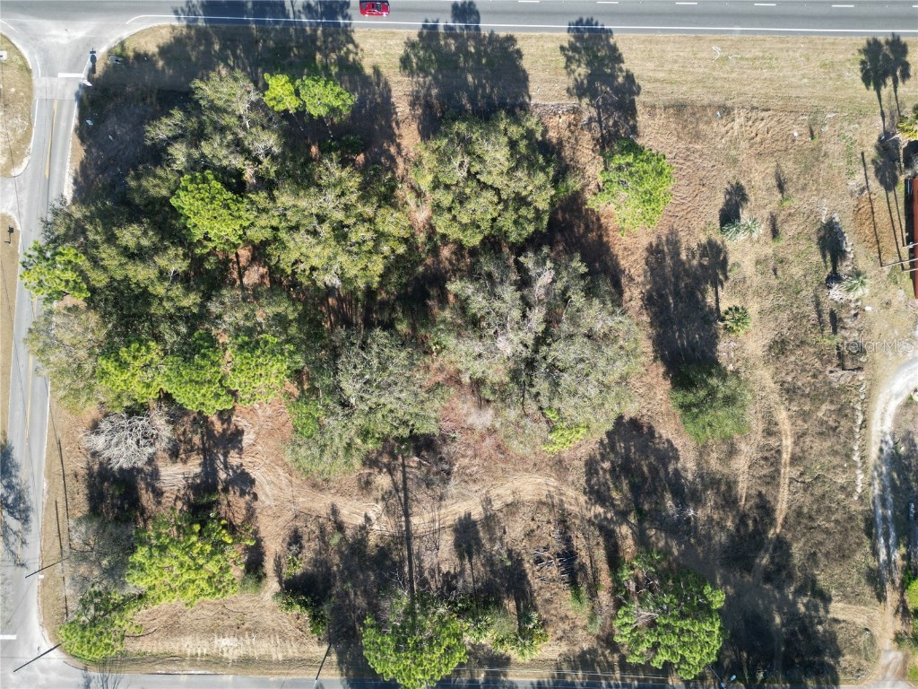 12441 SE 72nd Avenue Belleview FL 34420 TB8351208 image13