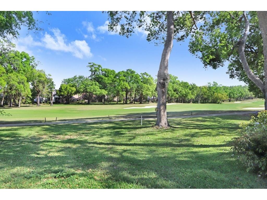 12442 Forest Highlands Dade City FL 33525 TB8487299 image25