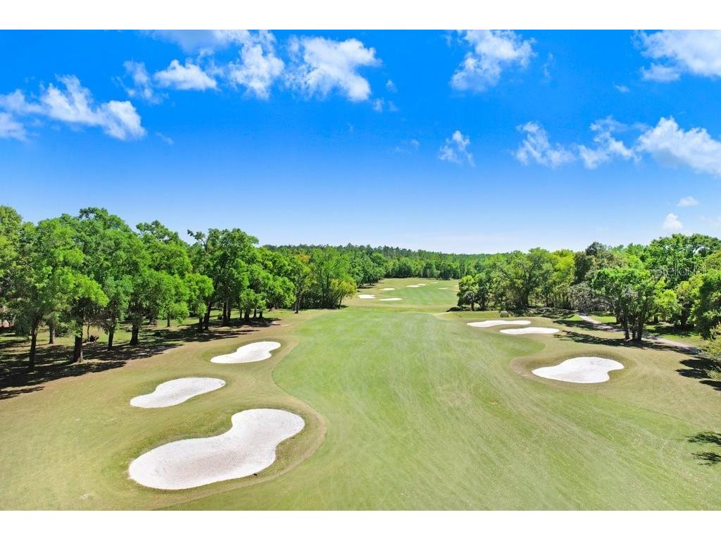 12442 Forest Highlands Dade City FL 33525 TB8487299 image29