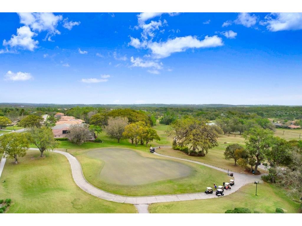 12442 Forest Highlands Dade City FL 33525 TB8487299 image31