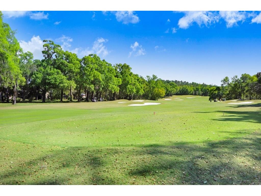 12442 Forest Highlands Dade City FL 33525 TB8487299 image36