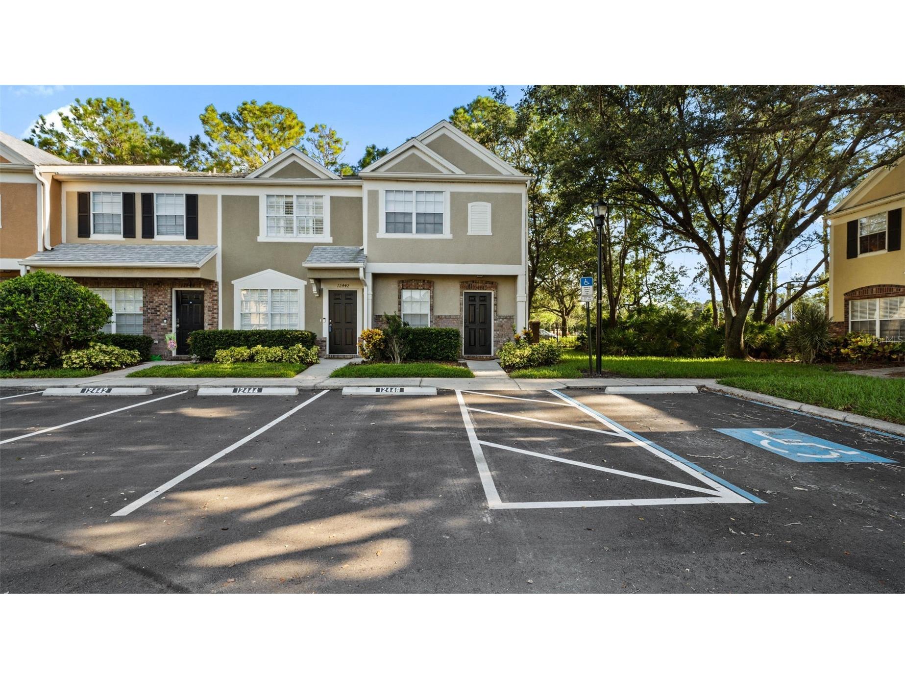12444 Berkeley Square Drive Tampa FL 33626 TB8502615 image1