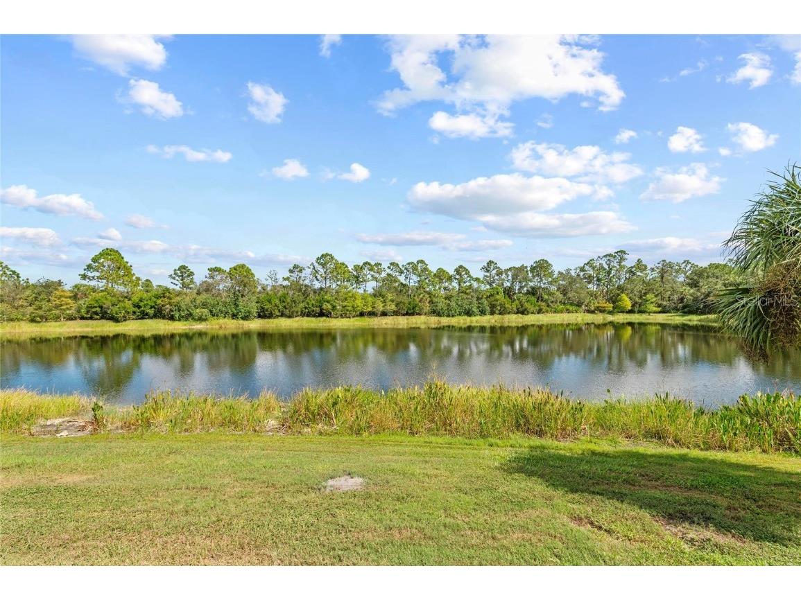 12444 Destin Loop Venice FL 34293 N6141104 image51